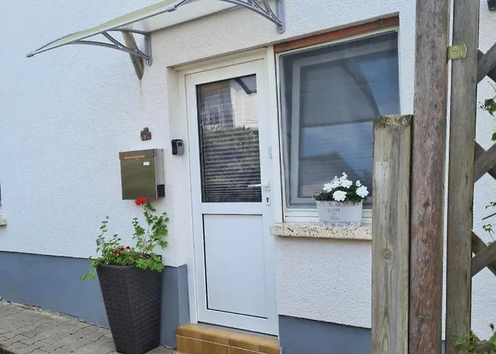 Neu! Eulennest Staudernheim